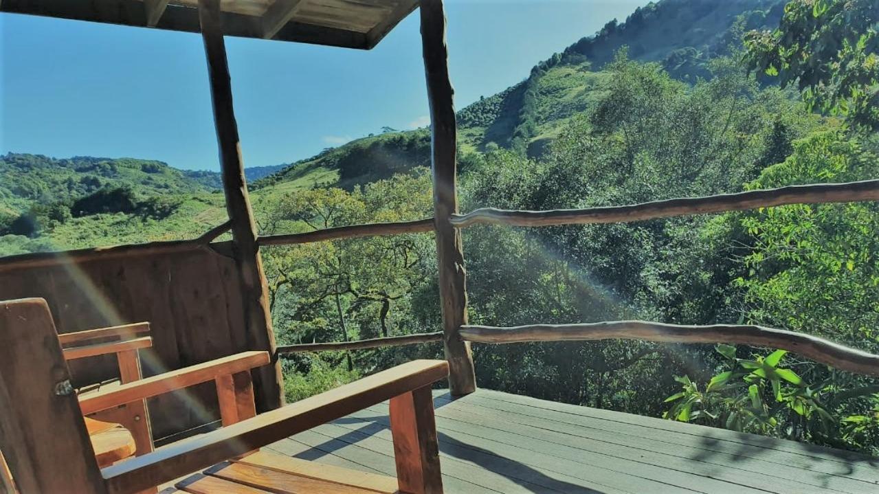 El Toucanet Lodge Copey Экстерьер фото