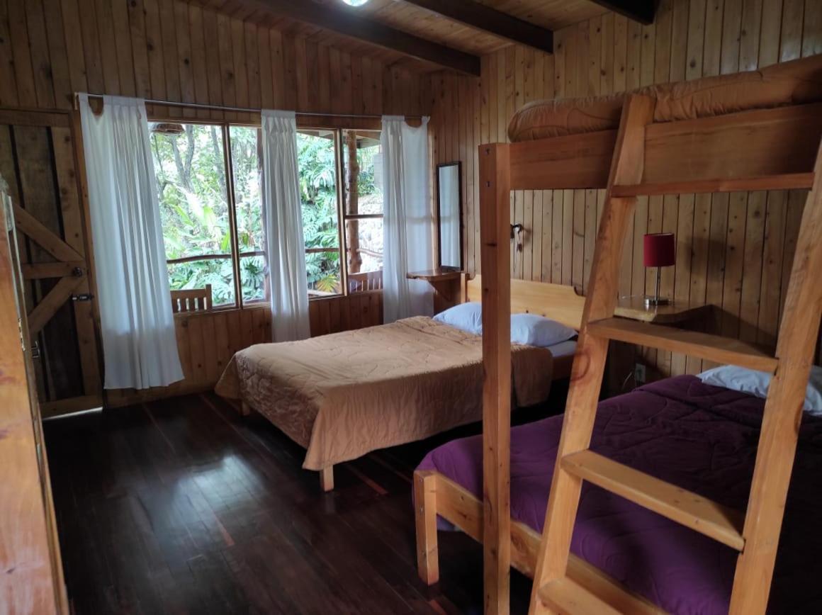 El Toucanet Lodge Copey Экстерьер фото