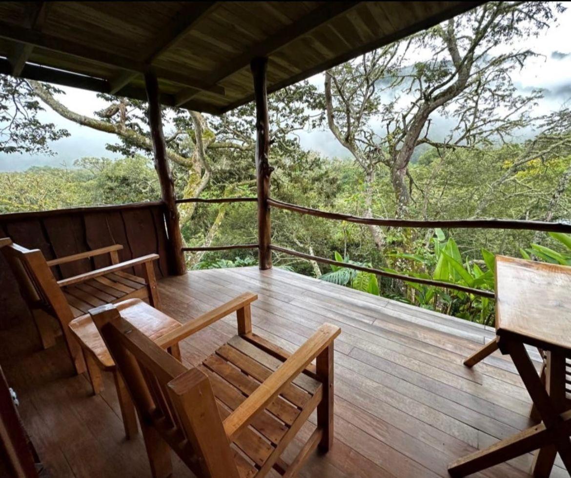 El Toucanet Lodge Copey Экстерьер фото