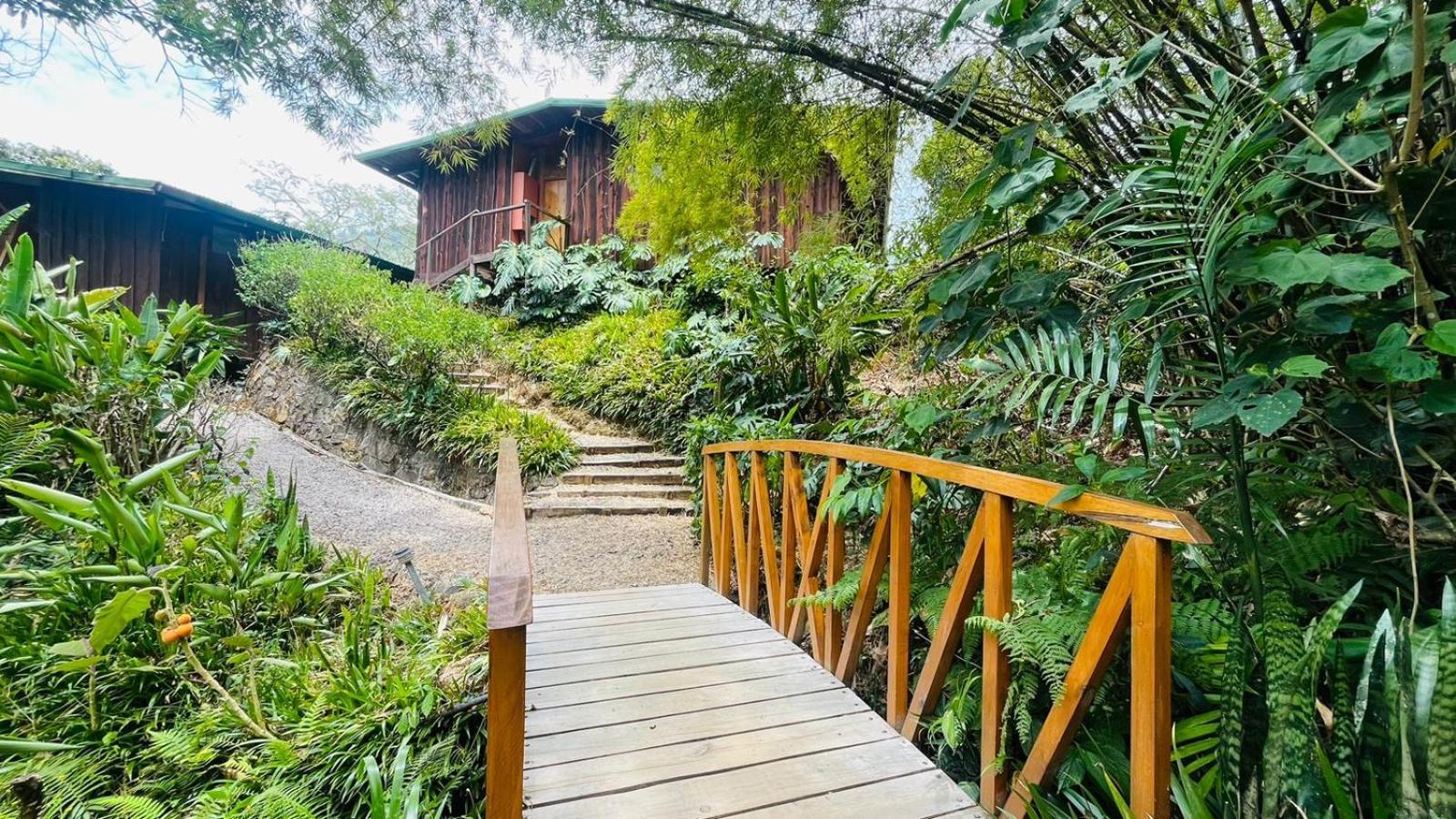 El Toucanet Lodge Copey Экстерьер фото